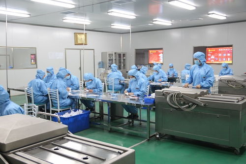 督灸、膏藥貼牌代加工的專業之選——藥福醫藥資訊與健康咨詢